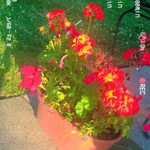 Meet your Posher, Vanessa